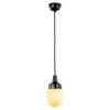 100851 DRUPPEL HANGLAMP ZWART BAKELIET