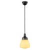 100852 GEBOGEN KEGEL HANGLAMP ZWART BAKELIET