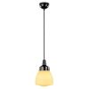 100852 GEBOGEN KEGEL HANGLAMP ZWART BAKELIET